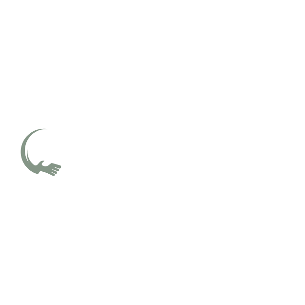 Logo ALLYO